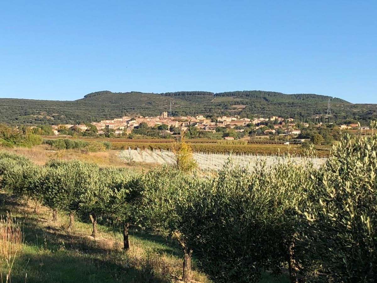 Val Des Bruyeres - Gite 15Mn Pezenas Avec Terrasse Et Cour Close - Parking Privatif Securise - Wifi Ftth Gratuit Neffies エクステリア 写真