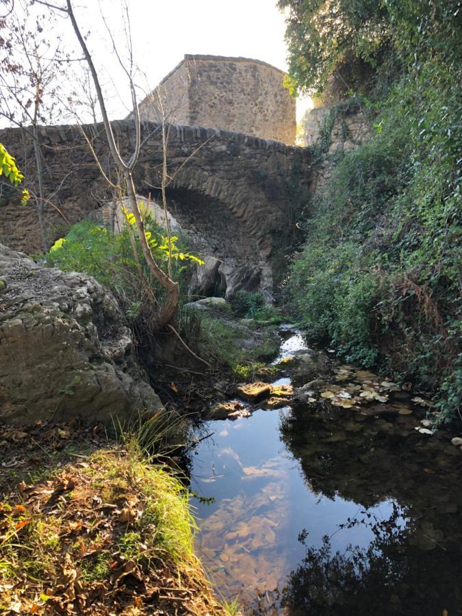 Val Des Bruyeres - Gite 15Mn Pezenas Avec Terrasse Et Cour Close - Parking Privatif Securise - Wifi Ftth Gratuit Neffies エクステリア 写真