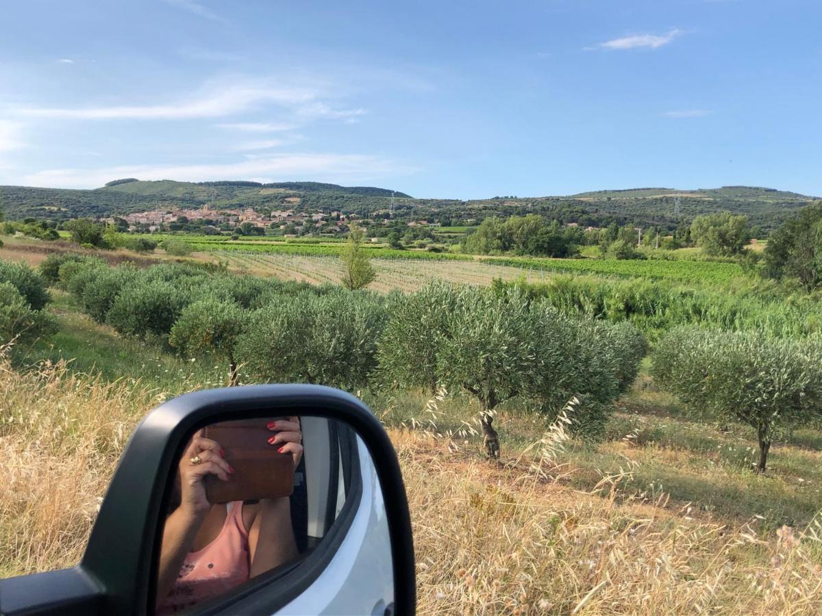 Val Des Bruyeres - Gite 15Mn Pezenas Avec Terrasse Et Cour Close - Parking Privatif Securise - Wifi Ftth Gratuit Neffies エクステリア 写真